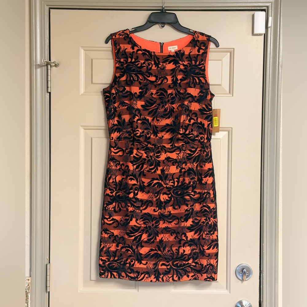 Cremieux Women’s Size 10 Orange with Black Lace Overlay Pattern Above Knee Dress